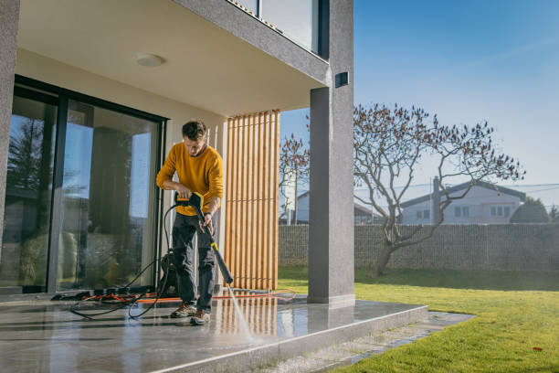 Best Roof Washing  in Hudson, IL