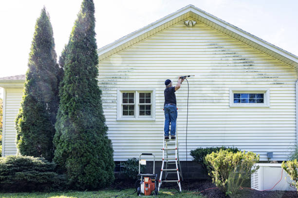 Best Sidewalk and Walkway Cleaning  in Hudson, IL